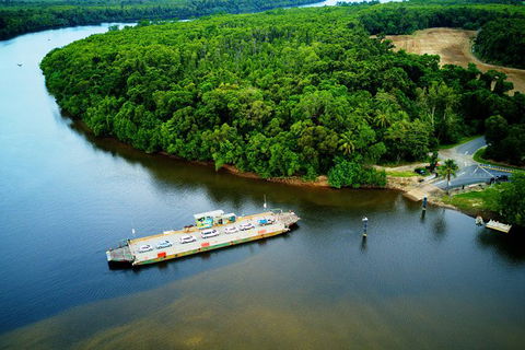 Cairns Daintree Rainforest And Cape Tribulation 2-Day Tour - Holiday Jervis Bay 7