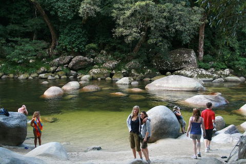 Cairns Daintree Rainforest And Cape Tribulation 2-Day Tour - Holiday Jervis Bay 9