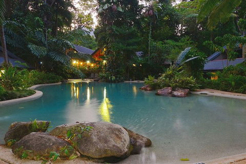 Cairns Daintree Rainforest And Cape Tribulation 2-Day Tour - Holiday Jervis Bay 6