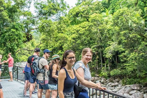 Cairns Daintree Rainforest And Cape Tribulation 2-Day Tour - Holiday Jervis Bay 2