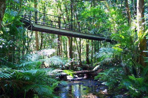 Cairns Daintree Rainforest And Cape Tribulation 2-Day Tour - Holiday Jervis Bay 8