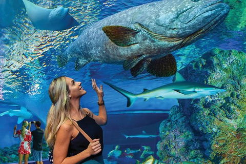 Cairns Aquarium Family Tickets - Holiday Jervis Bay 0