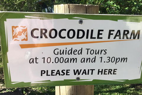 Cairns City Tour - Holiday Jervis Bay 3