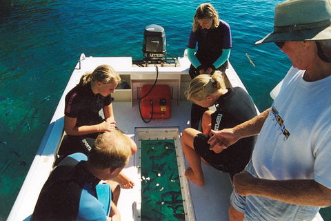 Great Barrier Reef Luxury Expedition Cruise Cabin Booking 7 Days 6 Night - Holiday Jervis Bay 1