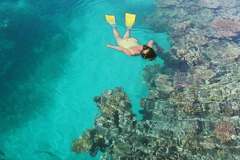 Great Barrier Reef Luxury Expedition Cruise Cabin Booking 7 Days 6 Night - Holiday Jervis Bay 8