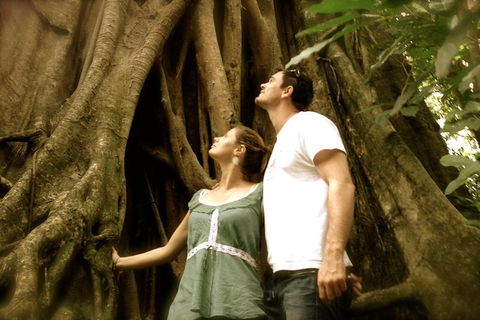 Daintree And Cape Tribulation Full Day Guided Tour - Holiday Jervis Bay 0