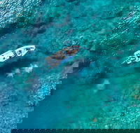 Premium Private Charter - Holiday Jervis Bay