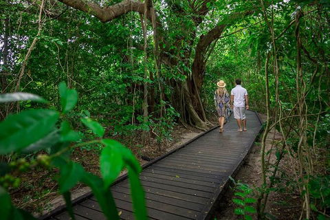 Cairns Pullman Cairns International 5 Nights Package Combo - Holiday Jervis Bay 7