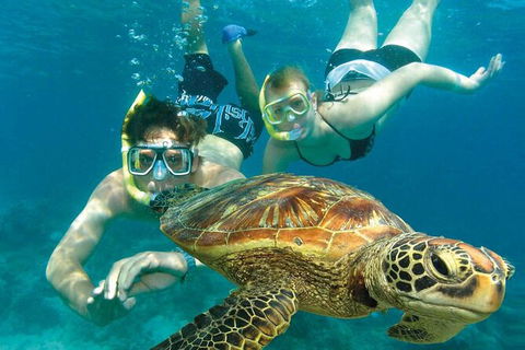 Cairns Pullman Cairns International 5 Nights Package Combo - Holiday Jervis Bay 4