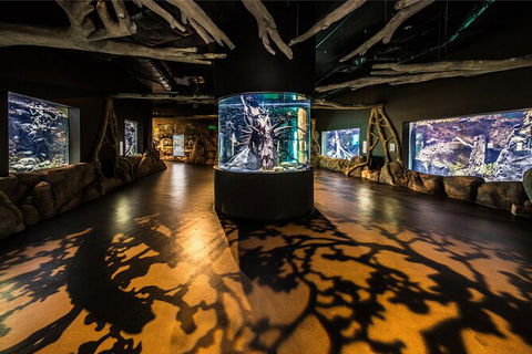 Cairns Aquarium Tour By Twilight With Drink And Appetiser - Holiday Jervis Bay 4