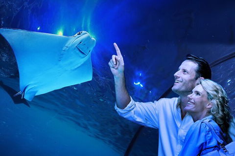 Cairns Aquarium Tour By Twilight With Drink And Appetiser - Holiday Jervis Bay 0