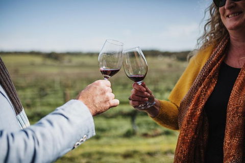 Armagh Vineyard Exclusive Wine Experience And Lunch - Holiday Jervis Bay 1