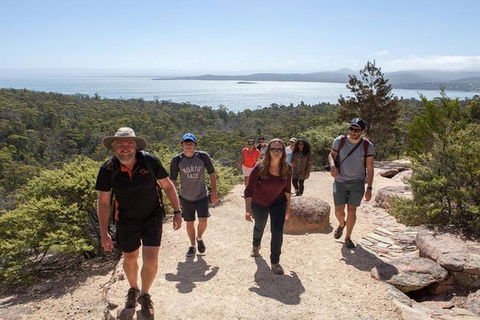 Half-Day Tour To Wineglass Bay From Launceston With Guide - Holiday Jervis Bay 4