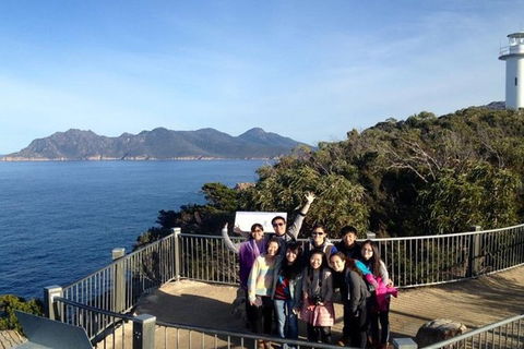 Half-Day Tour To Wineglass Bay From Launceston With Guide - Holiday Jervis Bay 3