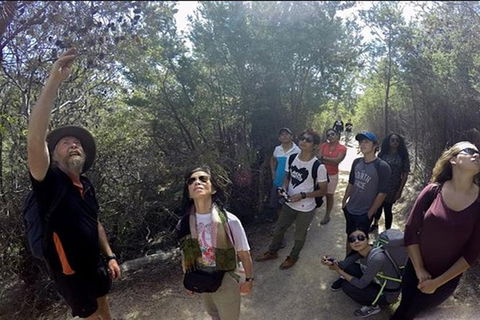 Half-Day Tour To Wineglass Bay From Launceston With Guide - Holiday Jervis Bay 1