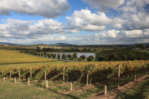 LGBT+ Friendly Full Day Yarra Valley & Dandenong Ranges Private Tour - Holiday Jervis Bay 0
