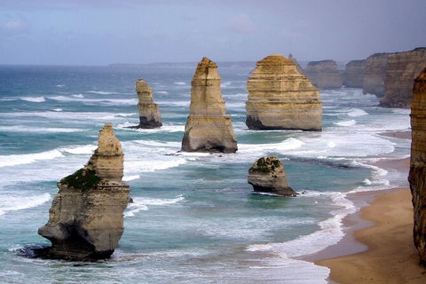 LGBT+ Friendly 2 Day Private Tour Great Ocean Road + Phillip Island - Holiday Jervis Bay 0