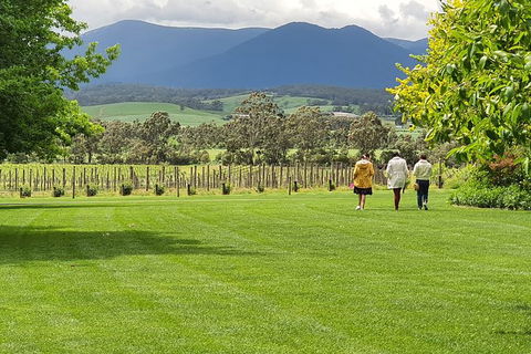 Yarra Valley Wine Tasting Day Tour From Melbourne - Holiday Jervis Bay 6