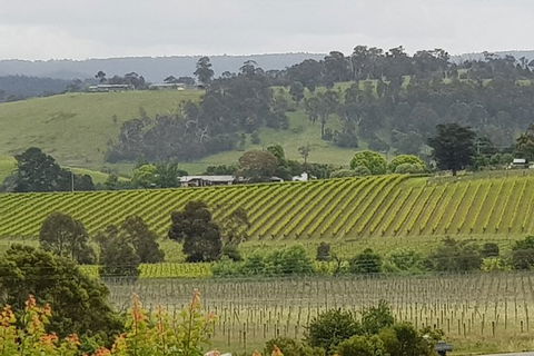 Yarra Valley Wine Tasting Day Tour From Melbourne - Holiday Jervis Bay 0