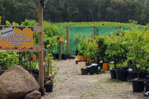 Yarra Valley Wineries And Rayners Orchard Tour From Melbourne - Holiday Jervis Bay 0