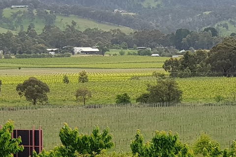 Yarra Valley Wineries And Rayners Orchard Tour From Melbourne - Holiday Jervis Bay 2