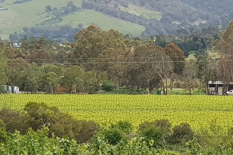 Day Tour Of Yarra Valley Puffing Billy And Rayners Orchard - Holiday Jervis Bay 44