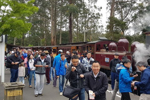 Day Tour Of Yarra Valley Puffing Billy And Rayners Orchard - Holiday Jervis Bay 3
