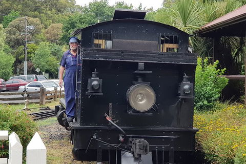 Day Tour Of Yarra Valley Puffing Billy And Rayners Orchard - Holiday Jervis Bay 11