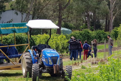 Day Tour Of Yarra Valley Puffing Billy And Rayners Orchard - Holiday Jervis Bay 10