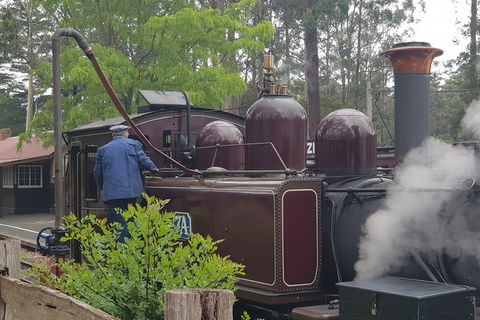 Day Tour Of Yarra Valley Puffing Billy And Rayners Orchard - Holiday Jervis Bay 5