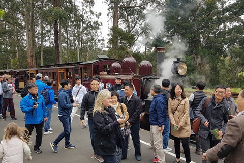 Day Tour Of Yarra Valley Puffing Billy And Rayners Orchard - Holiday Jervis Bay 18