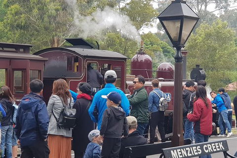 Day Tour Of Yarra Valley Puffing Billy And Rayners Orchard - Holiday Jervis Bay 40