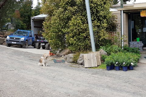 Day Tour Of Yarra Valley Puffing Billy And Rayners Orchard - Holiday Jervis Bay 6
