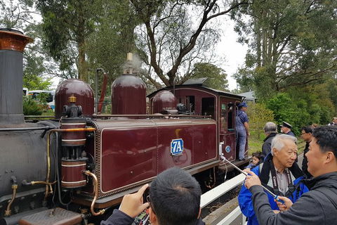 Day Tour Of Yarra Valley Puffing Billy And Rayners Orchard - Holiday Jervis Bay 28