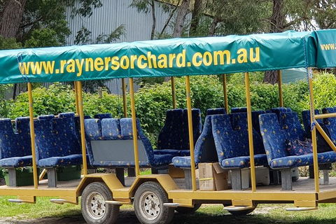 Day Tour Of Yarra Valley Puffing Billy And Rayners Orchard - Holiday Jervis Bay 33