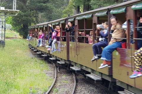 Day Tour Of Yarra Valley Puffing Billy And Rayners Orchard - Holiday Jervis Bay 13