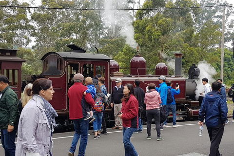Day Tour Of Yarra Valley Puffing Billy And Rayners Orchard - Holiday Jervis Bay 4