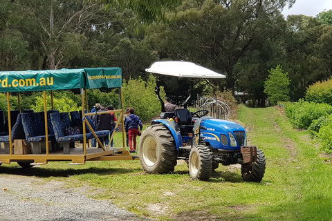 Day Tour Of Yarra Valley Puffing Billy And Rayners Orchard - Holiday Jervis Bay 25