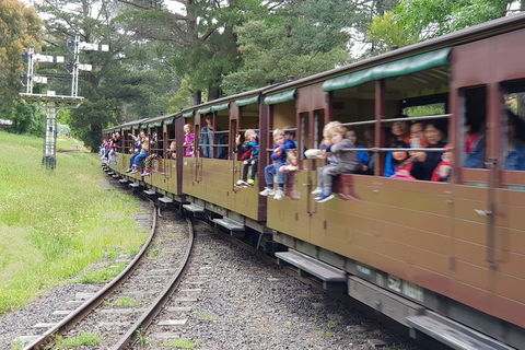 Day Tour Of Yarra Valley Puffing Billy And Rayners Orchard - Holiday Jervis Bay 24