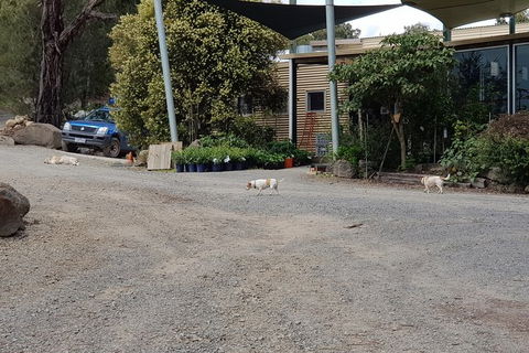 Day Tour Of Yarra Valley Puffing Billy And Rayners Orchard - Holiday Jervis Bay 26