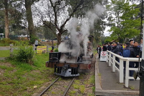 Day Tour Of Yarra Valley Puffing Billy And Rayners Orchard - Holiday Jervis Bay 43