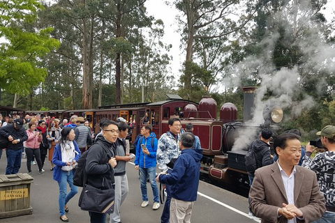 Day Tour Of Yarra Valley Puffing Billy And Rayners Orchard - Holiday Jervis Bay 12