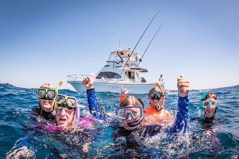 Life On Ningaloo Swimming Tour In Exmouth - Holiday Jervis Bay 4