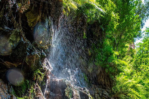 Secret Locations Tour - Holiday Jervis Bay 6