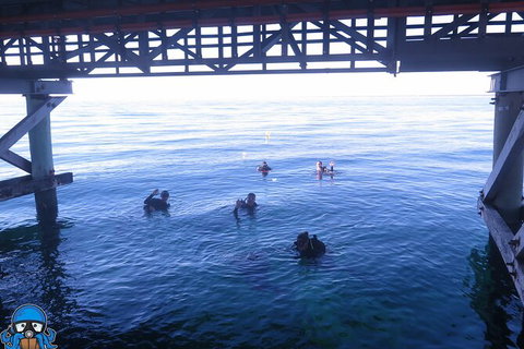PADI Open Water Course - Holiday Jervis Bay 3
