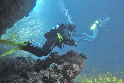 PADI Open Water Course - Holiday Jervis Bay 2
