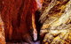 Bungles Day Trek Extended (with Echidna Chasm) - thumb 4