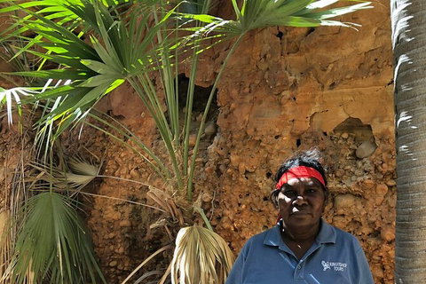 Bungles Day Trek Extended (with Echidna Chasm) - Holiday Jervis Bay 2