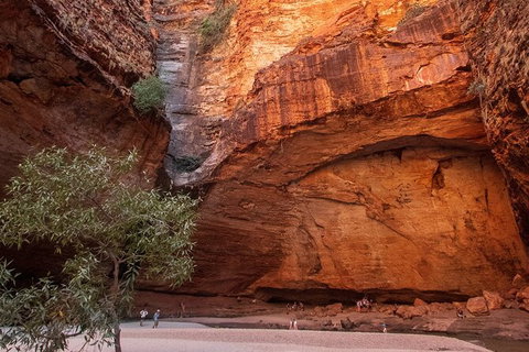 Bungles Day Trek Extended (with Echidna Chasm) - Holiday Jervis Bay 0