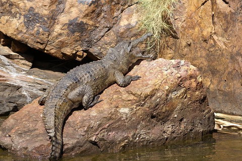 Ord River Experience With Riverside Lunch - Holiday Jervis Bay 2